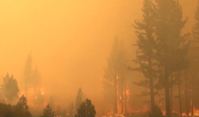 Avanzan los incendios en el oeste de Estados Unidos y acusan a una compañía eléctrica | Clima, naturaleza y medio ambiente