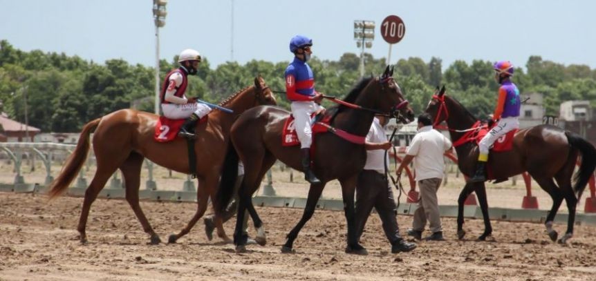 Sin carreras en el hipódromo de La Plata por reclamos de premios atrasados | Actualidad