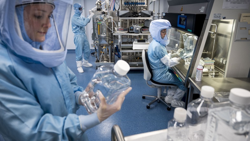 Alarma en África por el virus Marburgo: tan mortal como el Ébola y que la OMS pidió "atajar ya" | Internacionales