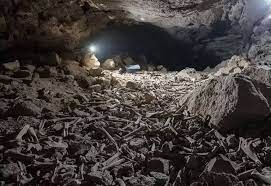 Descubrieron una cueva de hienas con miles de huesos humanos | Internacionales