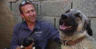 Un exmarine británico salió de Afganistán con 150 perros y gatos pero sin los 24 trabajadores de su ONG | Internacionales