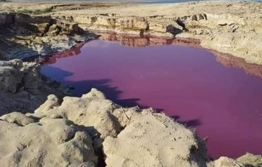 Misterio en el mar Muerto: un brazo se tiñó de rojo y no encuentran explicación | Clima, naturaleza y medio ambiente