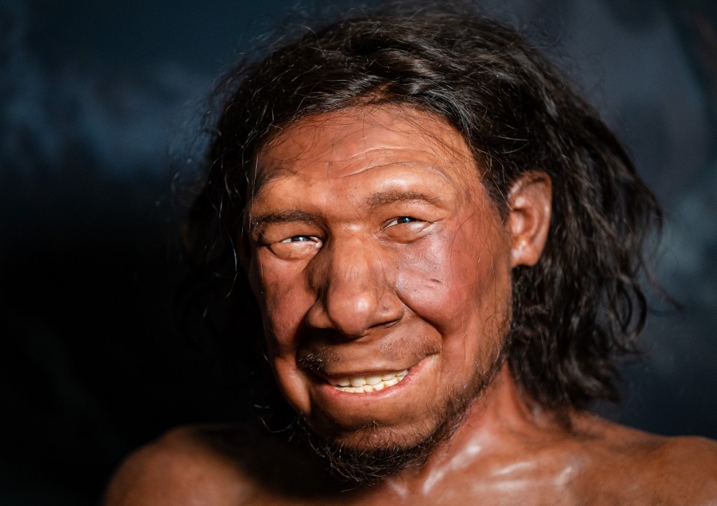 Reconstruyeron la cara de un neandertal que vivió hace más de 50.000 años | Internacionales