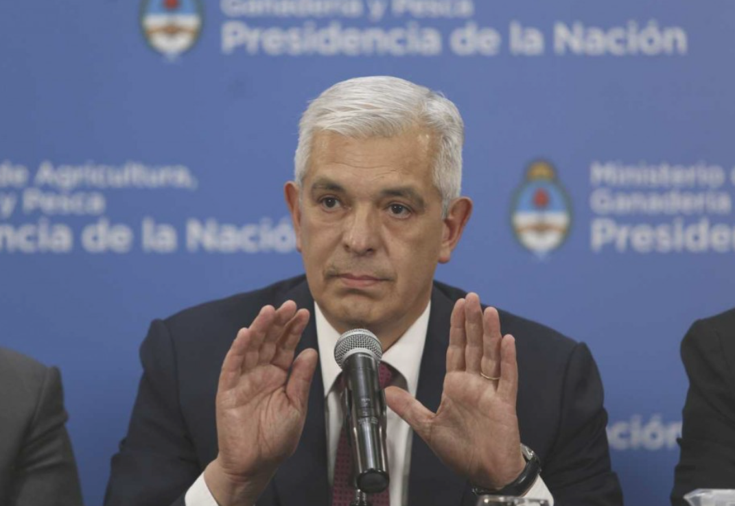 Domínguez: "La exportación no podrá superar nunca el 24% de la producción de carne" | Economía