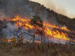Córdoba, Catamarca, La Rioja, Jujuy, San Luis y Tierra del Fuego registran incendios forestales | Clima, naturaleza y medio ambiente