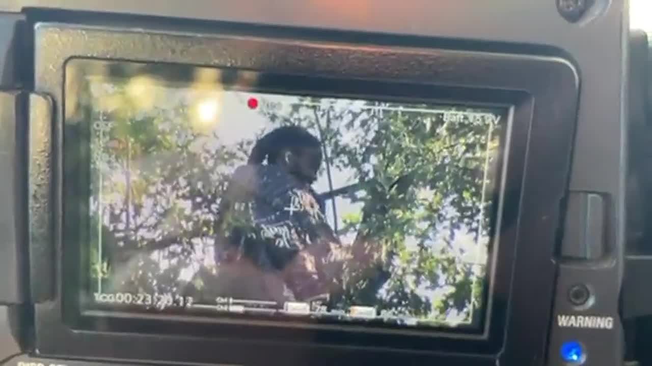 Video: la policía de Nueva York lleva tres días negociando con un hombre para que se baje de un árbol | Internacionales