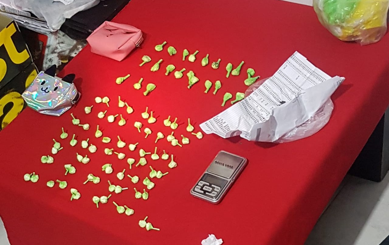 "Operación Ceviche": desarticularon a una banda que traficaba cocaína desde Bolivia | Actualidad