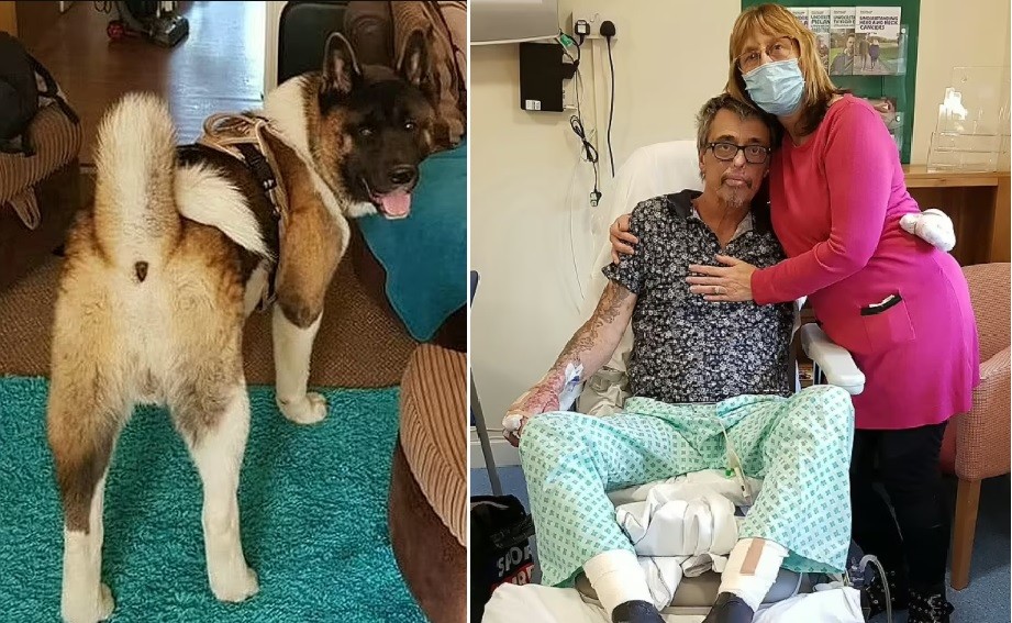 Compró un perro por Facebook que mordió a su hermano y a su marido: uno murió y al otro le amputarán las piernas | Internacionales