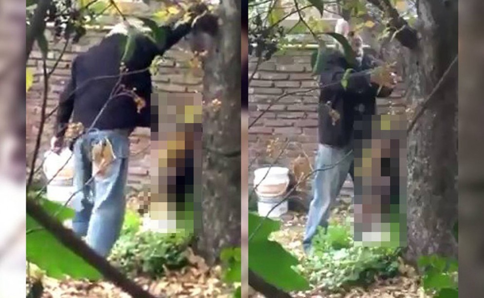 Escracharon a un hombre mientras ahorcaba a su perro | Actualidad