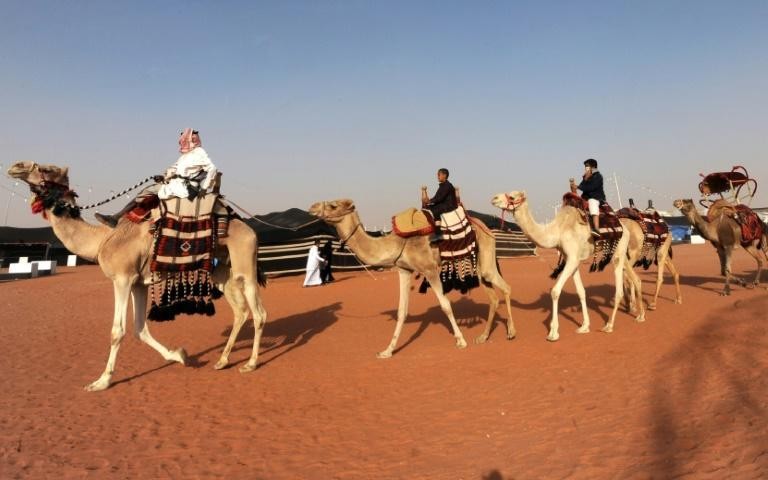 Escándalo en un concurso de belleza de camellos | Internacionales