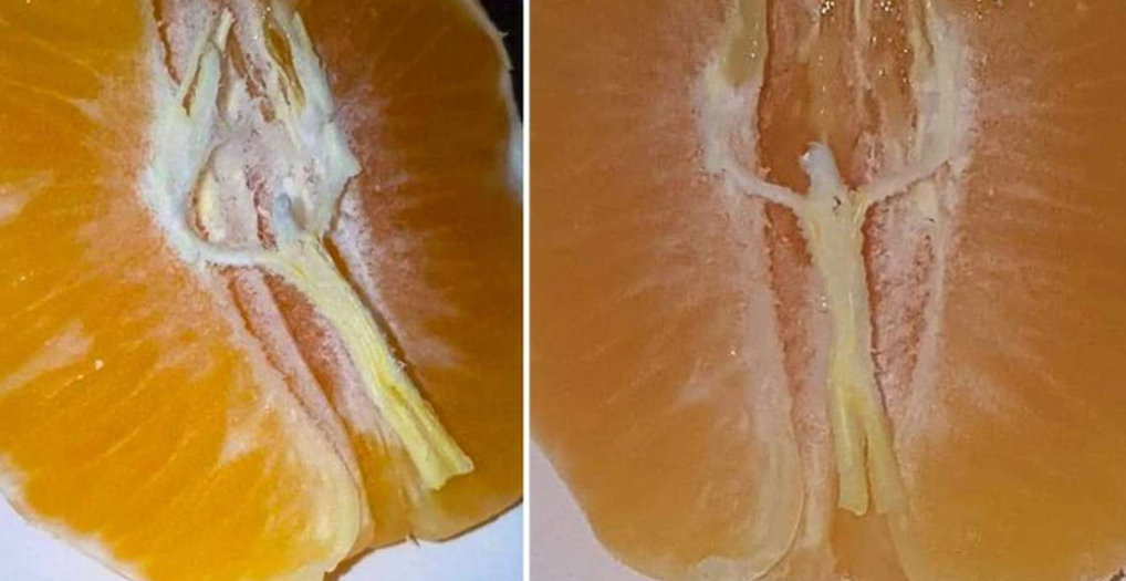 Milagro de Navidad: un hombre encontró la imagen de Jesús en una mandarina | Internacionales