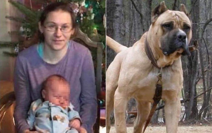 Mujer salvó al hijo del ataque de su perro pitbull y murió por las heridas | Internacionales