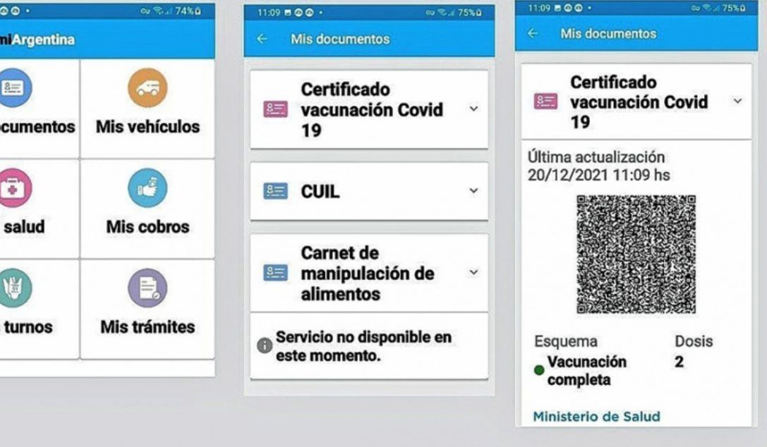 Gollan: "Con el pase sanitario hace 5 días que aumentó un 40% la concurrencia a vacunarse" | Actualidad