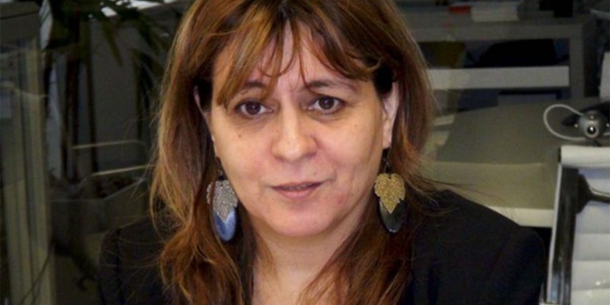 Graciela Bevacqua fue desplazada del Indec | Política