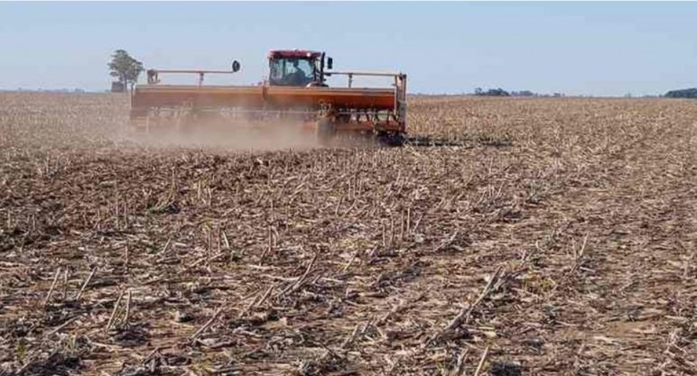 Declararon la emergencia agropecuaria en Entre Ríos | Actualidad