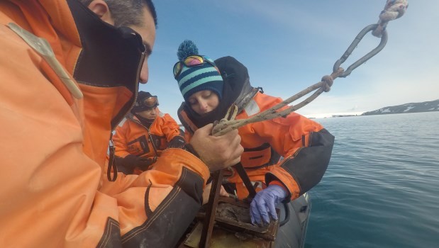 Antártida: Científicos argentinos investigarán microorganismos capaces de mitigar la contaminación | Clima, naturaleza y medio ambiente