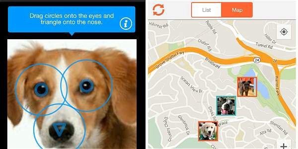 Una aplicación de reconocimiento facial permite encontrar perros extraviados | Tecno