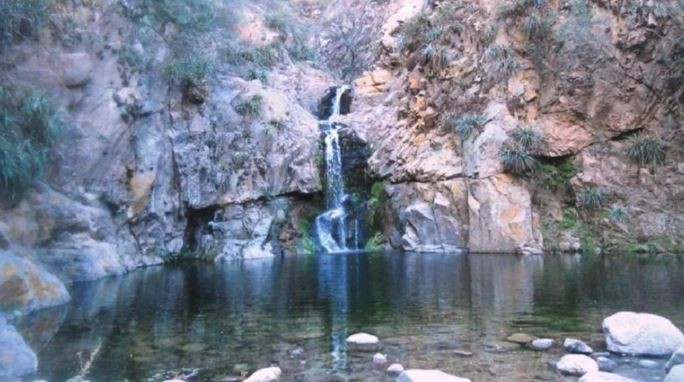 Advierten por algas tóxicas en ríos y lagos de Buenos Aires, Santa Fe, Entre Ríos y Córdoba | Clima, naturaleza y medio ambiente