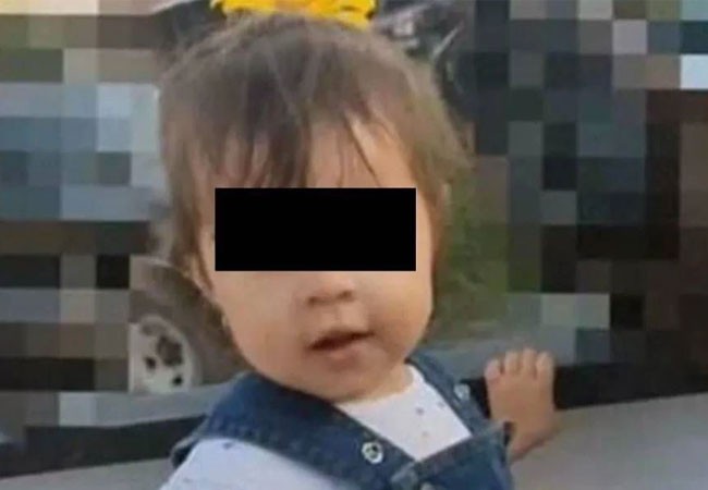 Murió una nena de 2 años tras comer una galleta envenenada que le dejaron a su perro | Internacionales