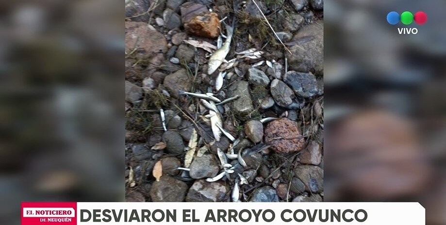 Un estanciero desvió el curso del agua de un arroyo para regar su propiedad | Clima, naturaleza y medio ambiente