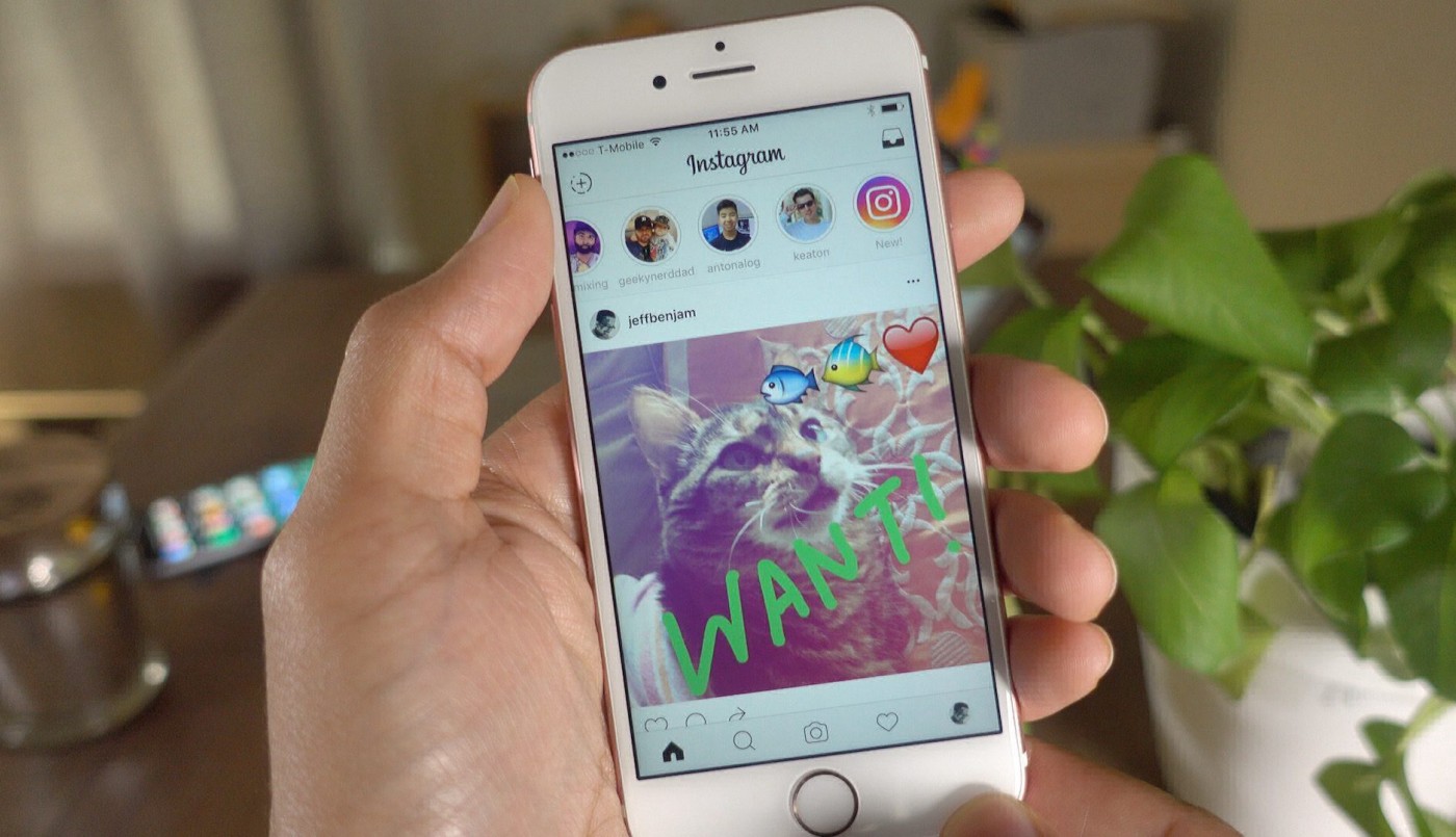 Ahora podés stalkear tranquil@: crearon un sitio para ver Stories de Instagram sin quedar escrachad@ | Tecno