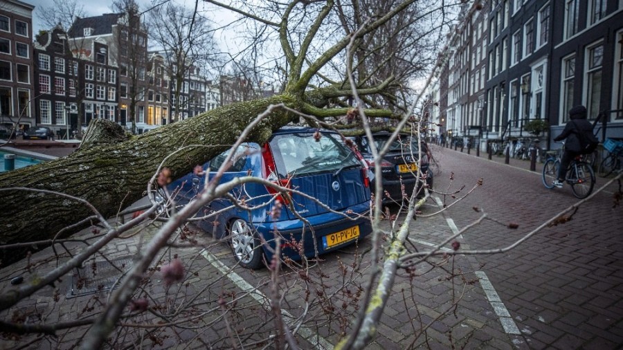 Tormenta Eunice: dejó 13 muertos, daños materiales y cortes de luz en Europa | Clima, naturaleza y medio ambiente