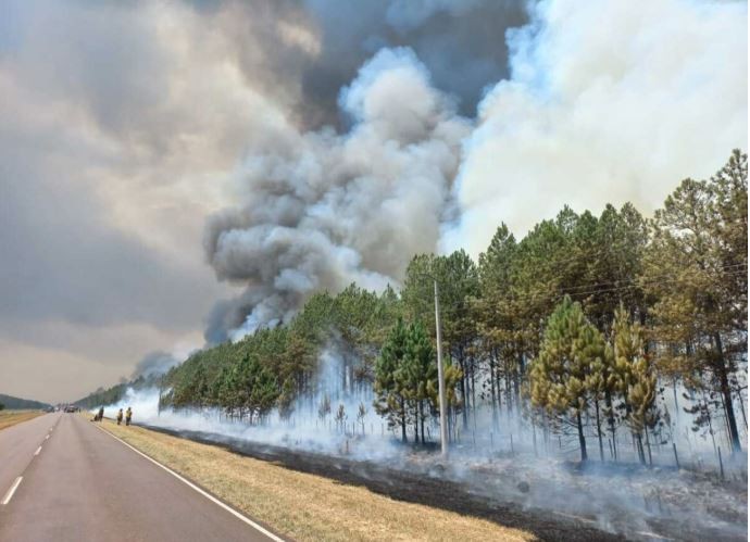Las lluvias comienzan a dar esperanza en la lucha contra los incendios en Corrientes | Clima, naturaleza y medio ambiente