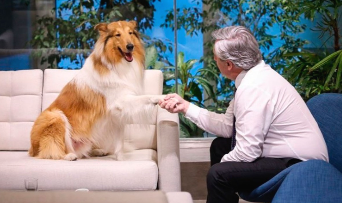 "Yo busqué al mejor y es él”: Aníbal Fernández sobre el adiestrador de Dylan en el Ministerio de Seguridad | Política