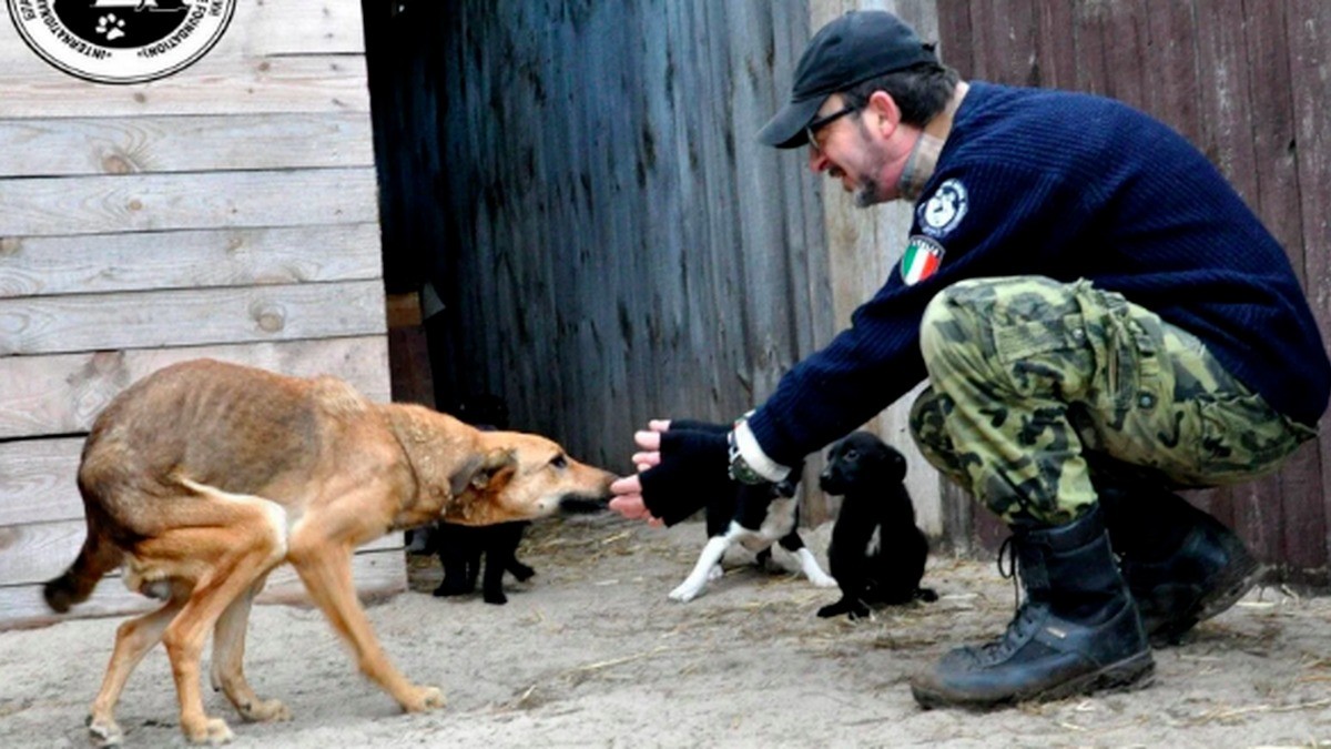 El italiano que prefiere morir a abandonar a sus 400 animales en Kiev | Internacionales