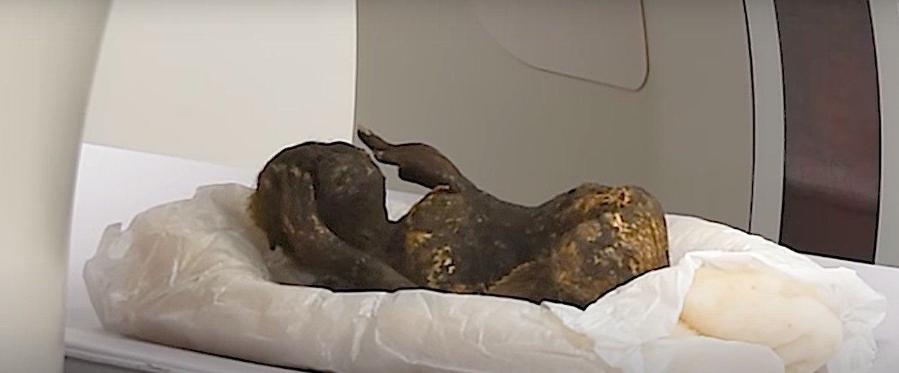 Misterio: científicos analizan una "momia sirena" de 300 años | Internacionales