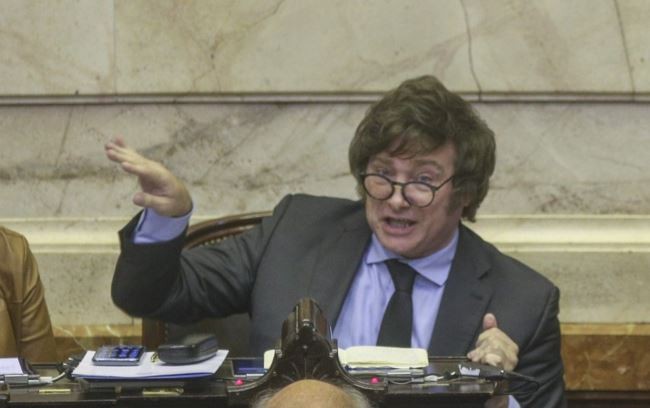 Milei habló de "ajustazo" y dijo que Máximo Kirchner "votó correctamente" | Política