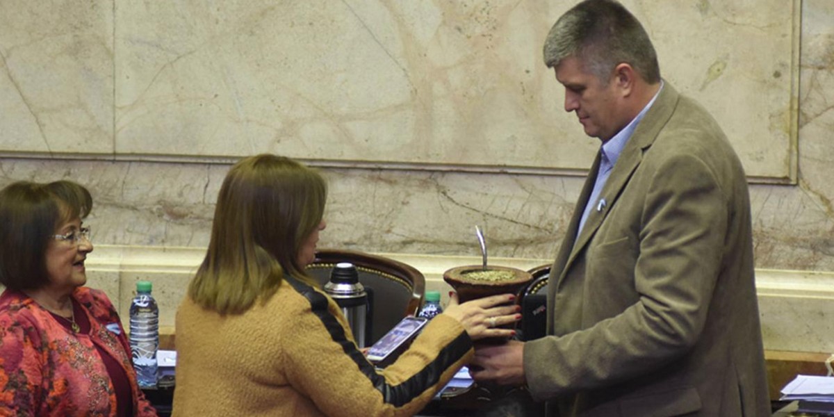Por qué un diputado lleva un mate gigante a la sesión del Congreso | Política