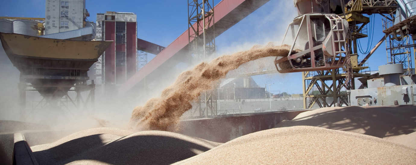 Perotti: “Cerrar exportaciones de harina y aceite de soja frenará el ingreso de divisas” | Política