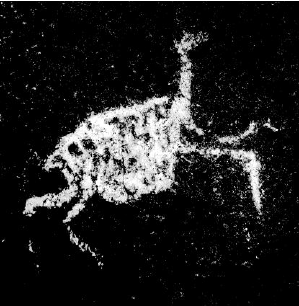 Descubren figuras enormes de camélidos en un cerro de un complejo arqueológico de Perú | Internacionales