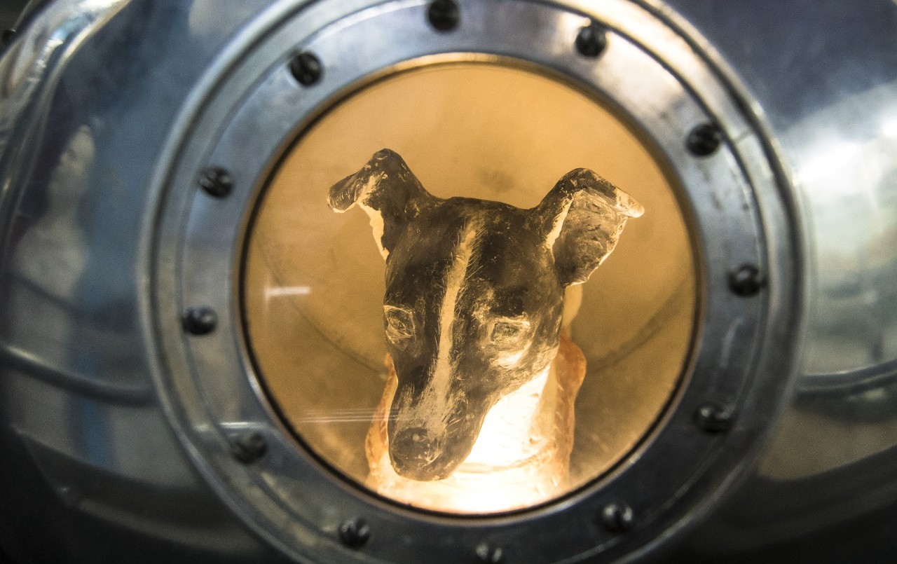 Laika: la increíble historia de la perra enviada a morir al espacio | Internacionales