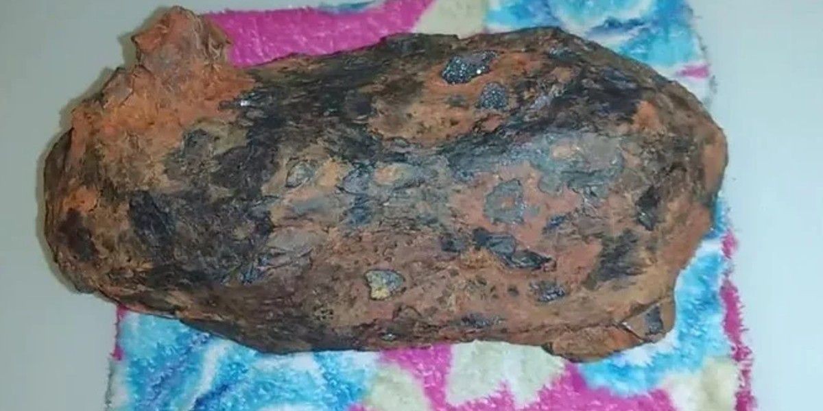 Encontraron un objeto brillante, lo usaron para decorar su casa y seis años después supieron qué era | Internacionales