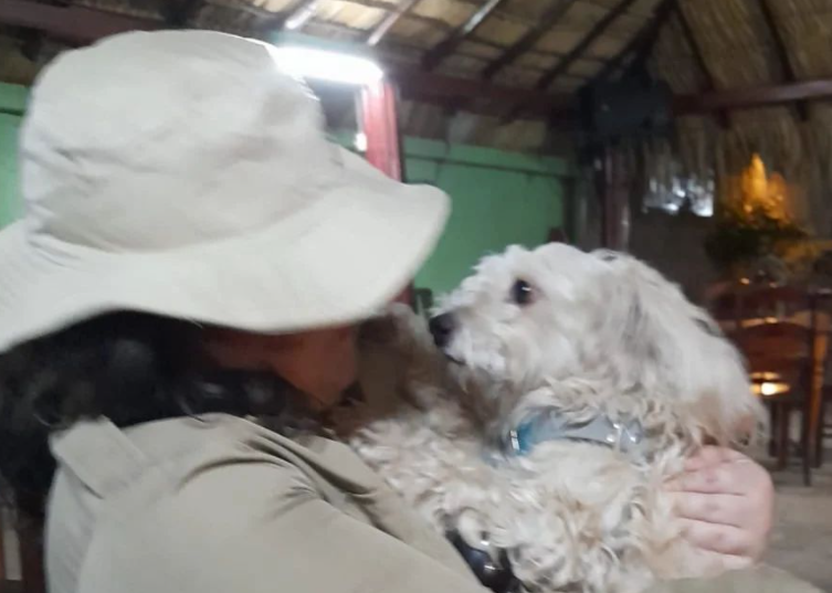 La triste historia de Luno, un perro que está varado en el Aeropuerto de Madrid y evalúan sacrificar | Internacionales