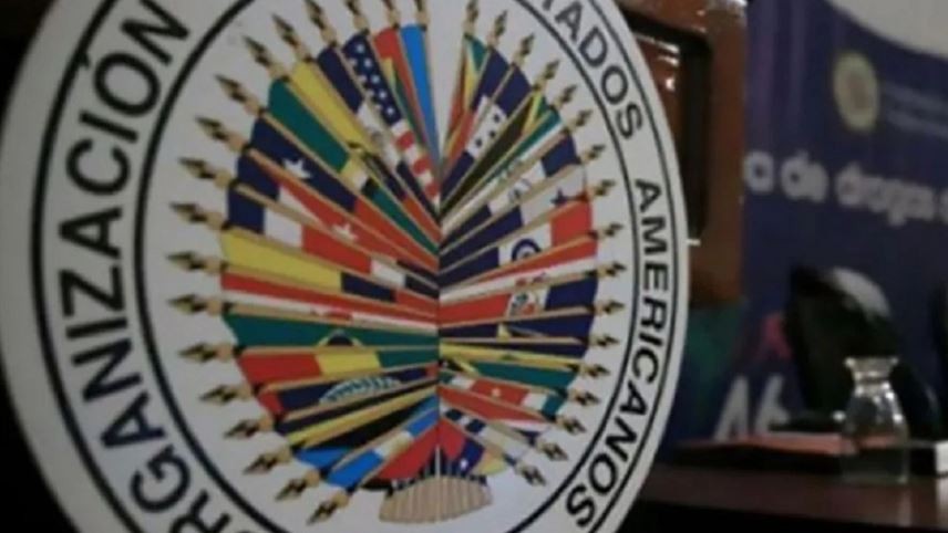 La OEA suspendió a Rusia como observador permanente y la Argentina se abstuvo | Política