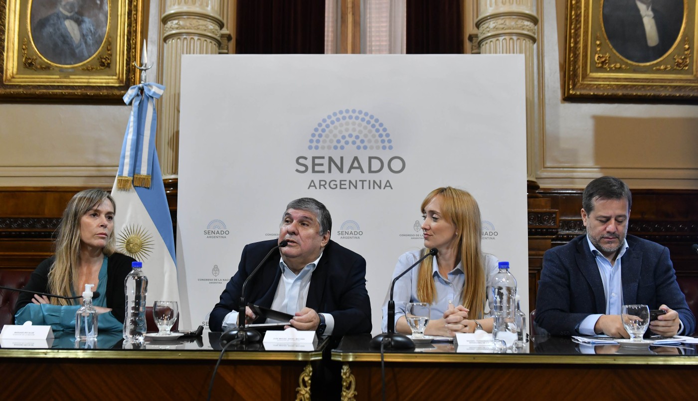 Moratoria previsional: el kirchnerismo presentó un proyecto propio en el Senado | Política