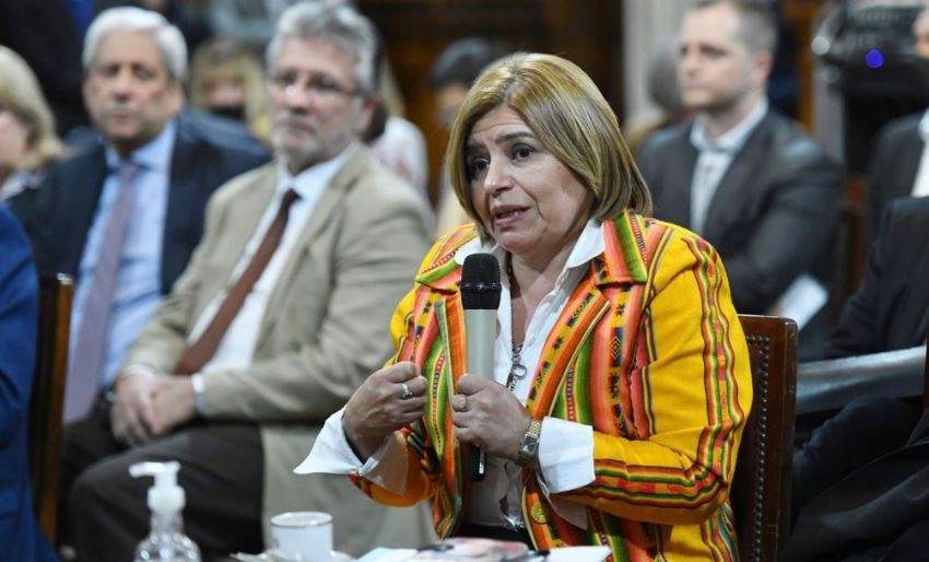 Insólita pelea en el Senado: una legisladora denunció que le ocuparon su banca | Política