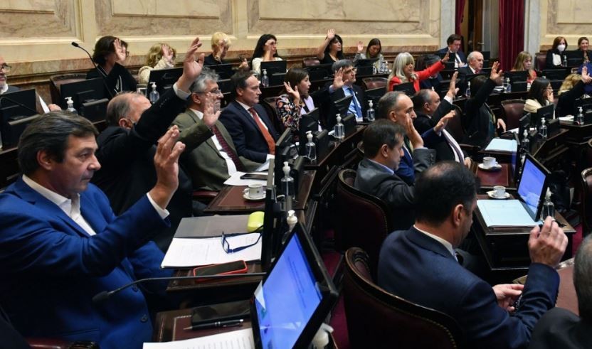 Senado: el oficialismo dio media sanción a la ley que crea un fondo para pagarle al FMI con bienes no declarados en el exterior | Política