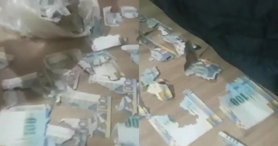 Video: Una rata se comió los ahorros de una mujer | Internacionales