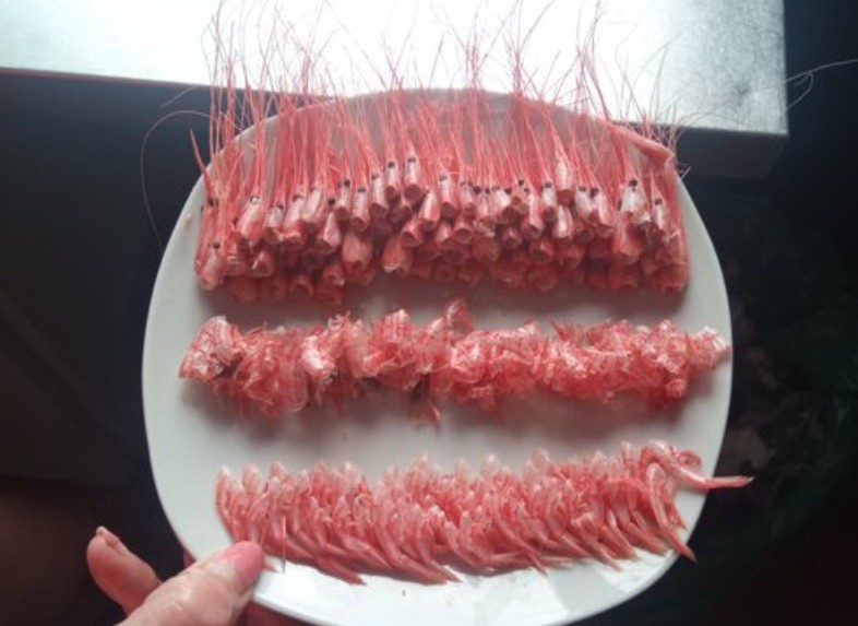 "Devolvió el plato así": comensal sorprendió al restaurante tras pedir camarones | Redes