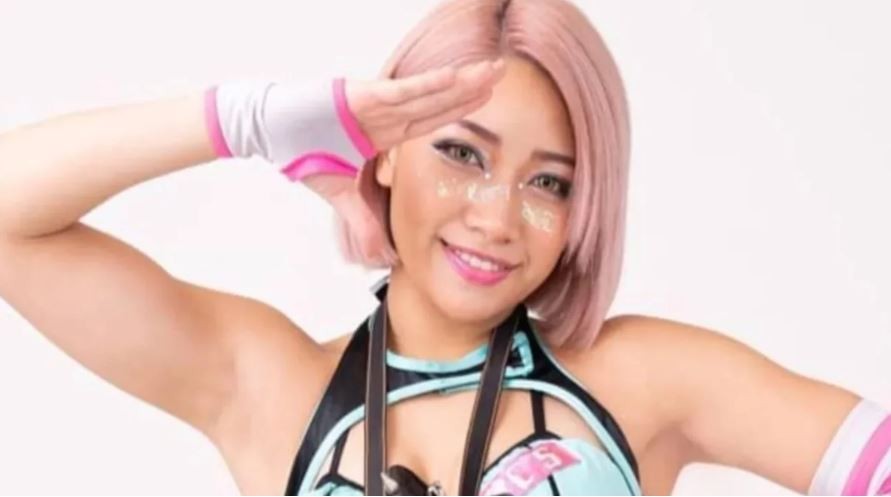 Japón condena con un año de prisión a los acosadores cibernéticos tras suicidio de estrella de TV | Internacionales