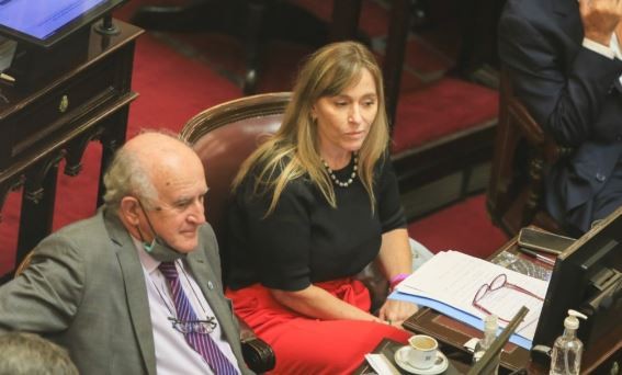 Con aval de Cristina, el kirchnerismo duro trabaja en el Senado en un proyecto propio de Ingreso Universal | Política