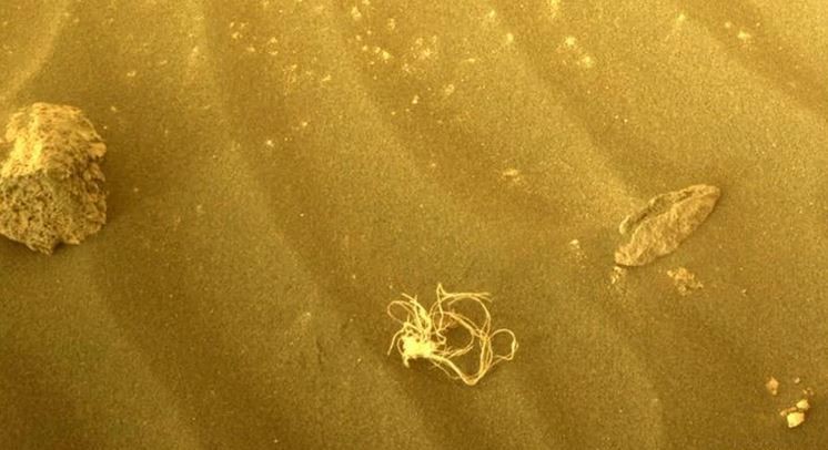 El rover Perseverance de la NASA captó una misteriosa imagen en la superficie de Marte | Internacionales