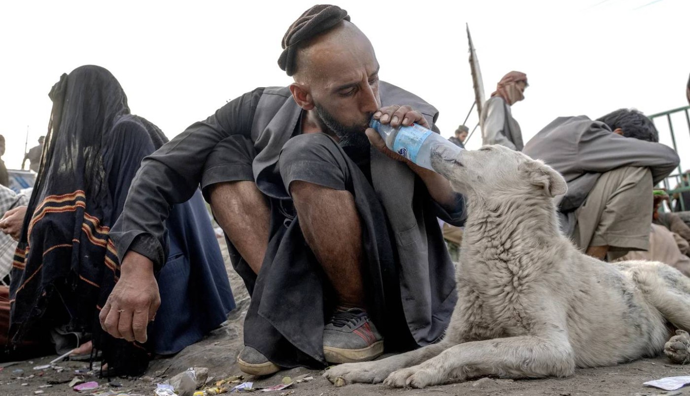 Fotos: el drama de los adictos a la heroína en la Afganistán de los talibanes | Internacionales