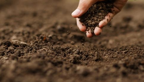 La humanidad ya consumió la producción sustentable anual y "vivirá de prestado" el resto de 2022 | Clima, naturaleza y medio ambiente