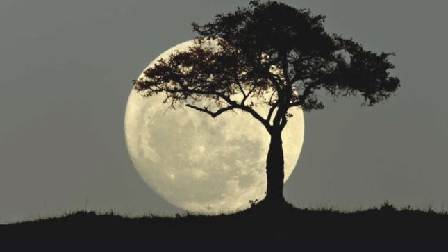 Cuándo y dónde se podrá ver la última Superluna del año | Actualidad