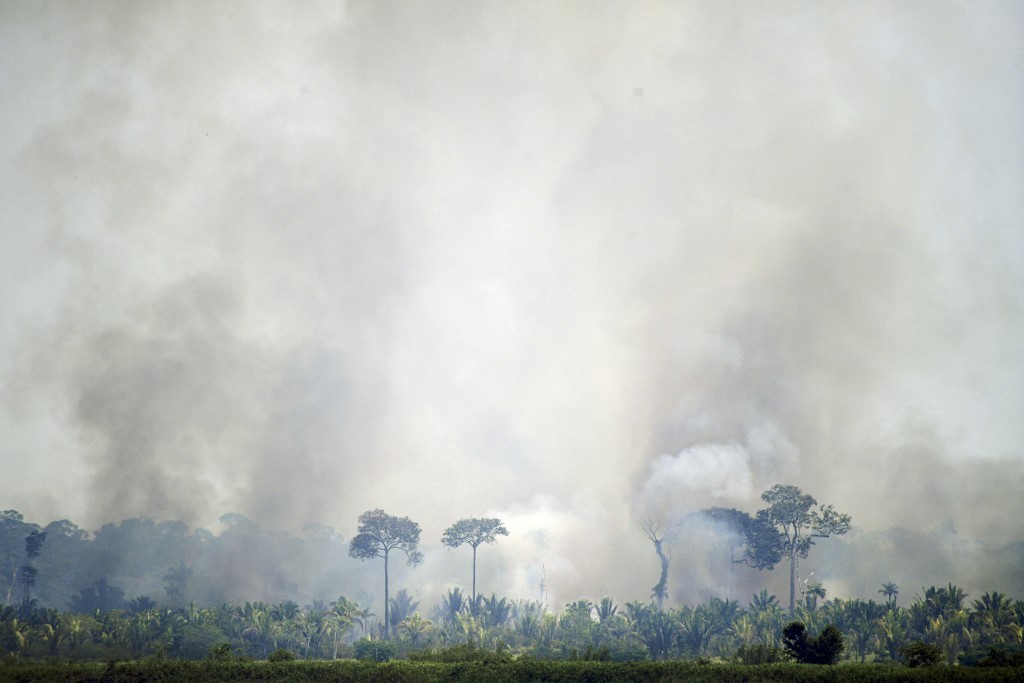 Día de la Amazonia: los incendios se disparan en el inicio de septiembre | Clima, naturaleza y medio ambiente